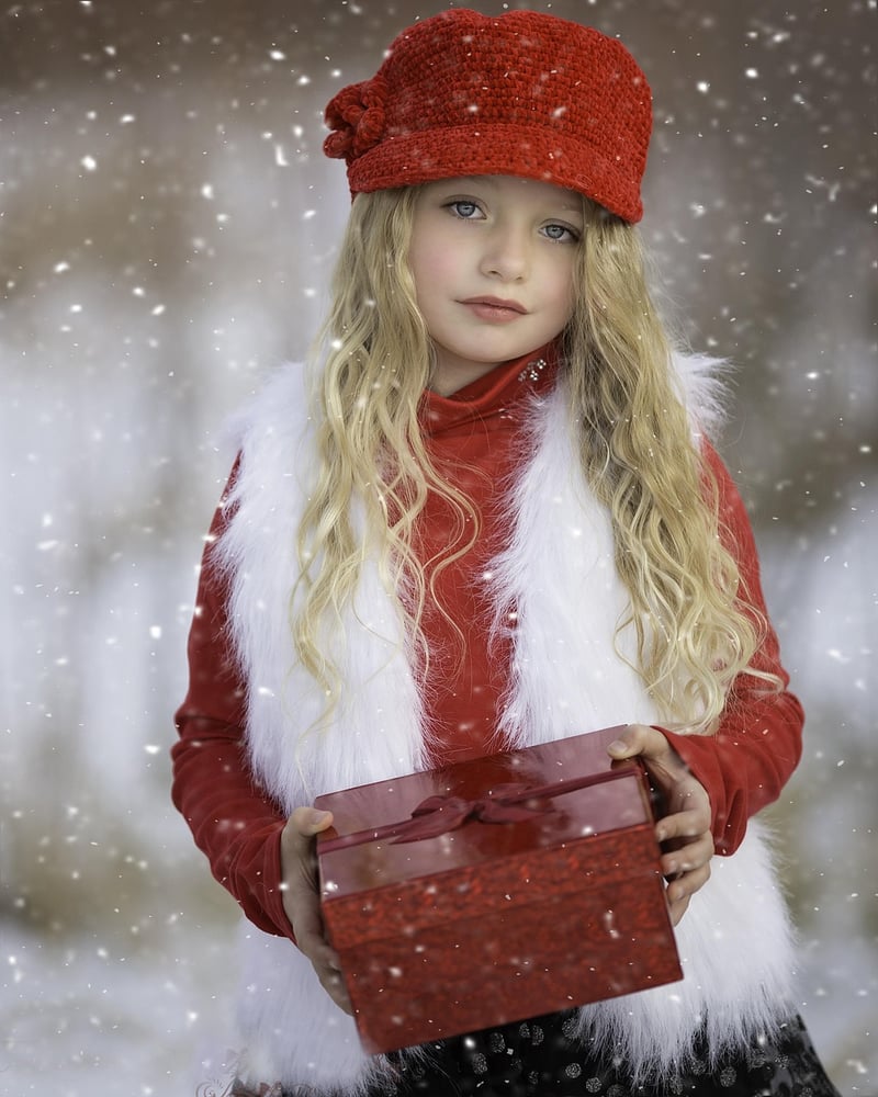 Seasonal Ornament Design